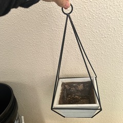鉢の画像