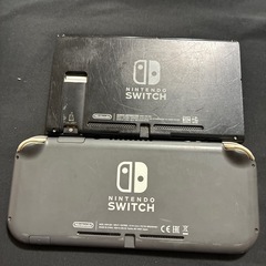 ニンテンドーSwitchとSwitchライトジャンク品の画像