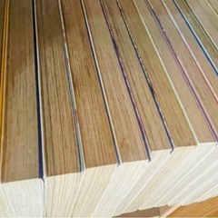 キャプテン翼ワールドユース編2〜18巻　その他短編集　¥50/冊の画像
