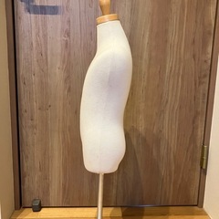 子供用トルソー　マネキンの画像