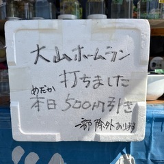 大山悠輔ホームラン打ったのでめだか メダカ、500円引きの画像