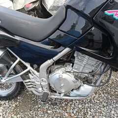 美しいカワサキアネロバイク/LE250A /250ccの画像