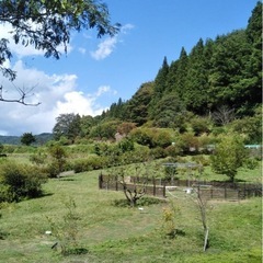 新規全国雑談通話主体LINEグル