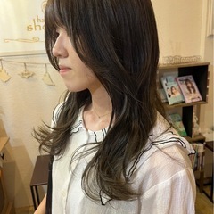 ワンカラーモデル募集