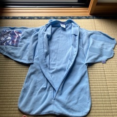 HALO Sleepsack Swaddle の画像