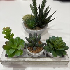 フェイクグリーンの画像