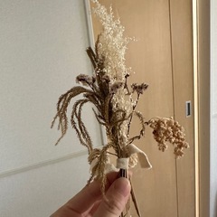 ドライフラワーの画像
