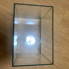 水槽の画像