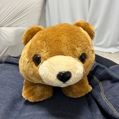 クマさんセットの画像