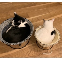 猫用　ハンモック　手作り
の画像