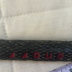 ゴルフクラブ　ダイワの画像