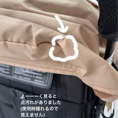 〖B型ﾍﾞﾋﾞｰｶｰ〗Pigeon Bingle BB3の画像