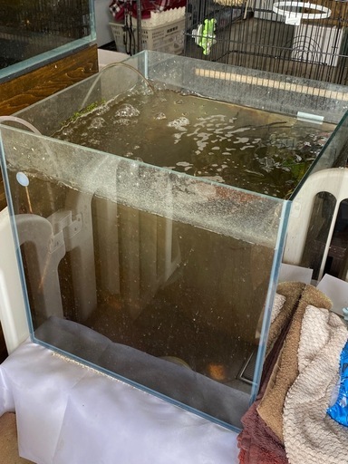 【荷物整理中】45✖️45ガラス水槽