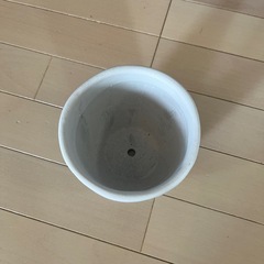 SPICE OF LIFE 植木鉢 レリーフプランター の画像