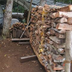 未乾燥薪4回目、広葉樹MIX、幅２１００ｍｍ*高１3００ｍｍ*薪長３０ｃｍから４０ｃｍ、薪ストーブに最適の画像