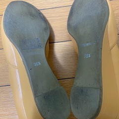 ブルーノマリパンプスの画像