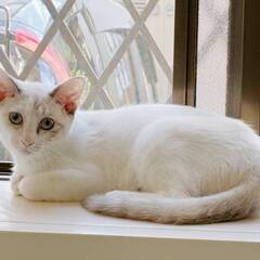 ★ウニちゃん★トライアル中