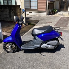 ホンダトゥデイ原付バイクの画像
