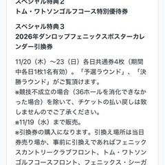 ダンロップフェニックストーナメント　チケットの画像