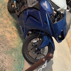 Ninja250r ex250k 最終型 実働 サーキットベースの画像