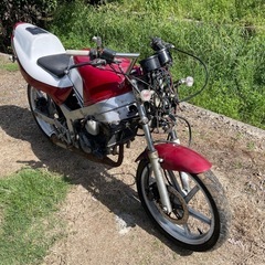 NS1不動部品取り中古車体の画像