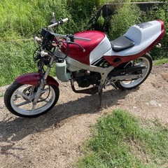 NS1不動部品取り中古車体の画像