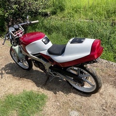 NS1不動部品取り中古車体の画像