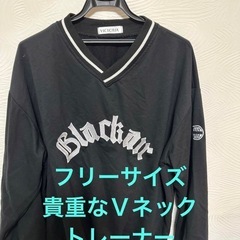 レディース服いろいろ　単品価格の画像
