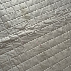 ニトリ　ラグ　の画像