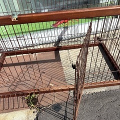 サークルの画像