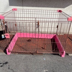 サークルの画像