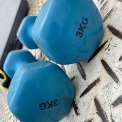 3kg ダンベル 鉄アレイセットの画像