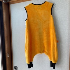 スリーパー(とら柄)の画像