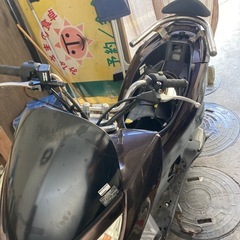 pcx 　の画像