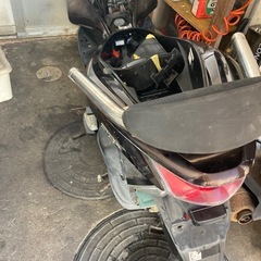 pcx 　の画像