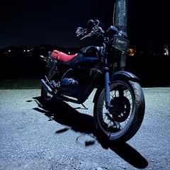 CB250RS
の画像