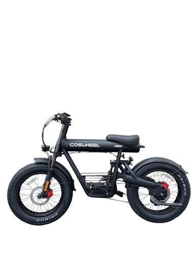 【美品】COSWHEEL MIRAI COMFORT マットブラック 電動自転車