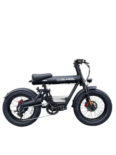 【美品】COSWHEEL MIRAI COMFORT マットブラック 電動自転車
