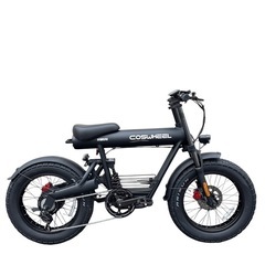 【美品】COSWHEEL MIRAI COMFORT マットブラック 電動自転車の画像