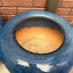 鉢の画像