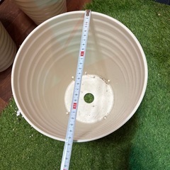 【プラスチック植木鉢】8号①の画像