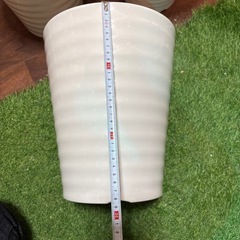 【プラスチック植木鉢】8号①の画像