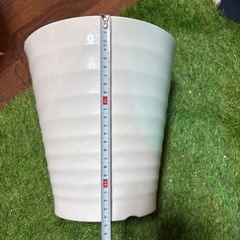 【プラスチック植木鉢】8号②の画像