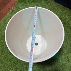 【プラスチック植木鉢】8号②の画像