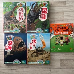 サムネイル