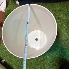 【プラスチック植木鉢】8号④の画像