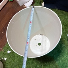 【プラスチック植木鉢】8号⑥の画像