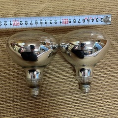 電球の画像