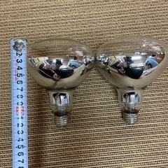 電球の画像