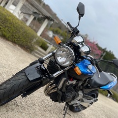 個人‼️ホーネット250(後期)完全ノーマルの画像